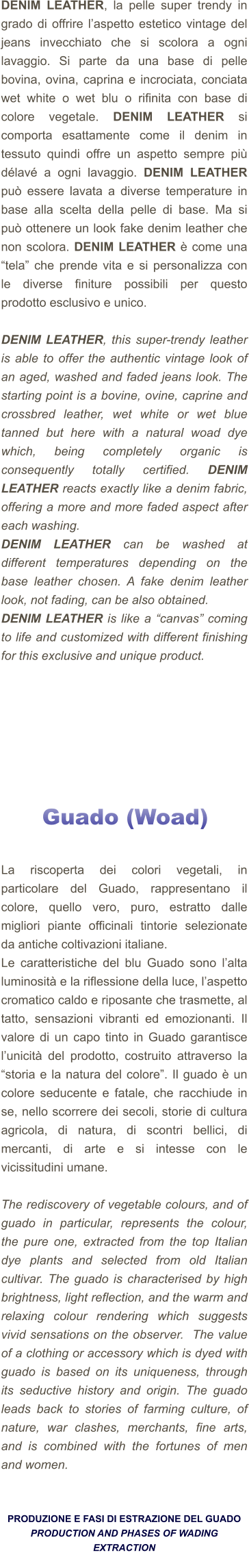 DENIM LEATHER, la pelle super trendy in grado di offrire l’aspetto estetico vintage del jeans invecchiato che si scolora a ogni lavaggio. Si parte da una base di pelle bovina, ovina, caprina e incrociata, conciata wet white o wet blu o rifinita con base di colore vegetale. DENIM LEATHER si comporta esattamente come il denim in tessuto quindi offre un aspetto sempre più délavé a ogni lavaggio. DENIM LEATHER può essere lavata a diverse temperature in base alla scelta della pelle di base. Ma si può ottenere un look fake denim leather che non scolora. DENIM LEATHER è come una “tela” che prende vita e si personalizza con le diverse finiture possibili per questo prodotto esclusivo e unico.   DENIM LEATHER, this super-trendy leather is able to offer the authentic vintage look of an aged, washed and faded jeans look. The starting point is a bovine, ovine, caprine and crossbred leather, wet white or wet blue tanned but here with a natural woad dye which, being completely organic is consequently totally certified. DENIM LEATHER reacts exactly like a denim fabric, offering a more and more faded aspect after each washing.  DENIM LEATHER can be washed at different temperatures depending on the base leather chosen. A fake denim leather look, not fading, can be also obtained.  DENIM LEATHER is like a “canvas” coming to life and customized with different finishing for this exclusive and unique product.           e   Guado (Woad)     La riscoperta dei colori vegetali, in particolare del Guado, rappresentano il colore, quello vero, puro, estratto dalle migliori piante officinali tintorie selezionate da antiche coltivazioni italiane. Le caratteristiche del blu Guado sono l’alta luminosità e la riflessione della luce, l’aspetto cromatico caldo e riposante che trasmette, al tatto, sensazioni vibranti ed emozionanti. Il valore di un capo tinto in Guado garantisce l’unicità del prodotto, costruito attraverso la “storia e la natura del colore”. Il guado è un colore seducente e fatale, che racchiude in se, nello scorrere dei secoli, storie di cultura agricola, di natura, di scontri bellici, di mercanti, di arte e si intesse con le vicissitudini umane.  The rediscovery of vegetable colours, and of guado in particular, represents the colour, the pure one, extracted from the top Italian dye plants and selected from old Italian cultivar. The guado is characterised by high brightness, light reflection, and the warm and relaxing colour rendering which suggests vivid sensations on the observer.  The value of a clothing or accessory which is dyed with guado is based on its uniqueness, through its seductive history and origin. The guado leads back to stories of farming culture, of nature, war clashes, merchants, fine arts, and is combined with the fortunes of men and women.   PRODUZIONE E FASI DI ESTRAZIONE DEL GUADO PRODUCTION AND PHASES OF WADING EXTRACTION